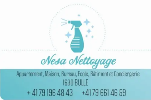 Nesa Nettoyage